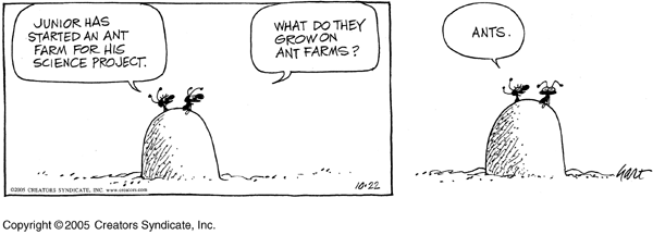 bc